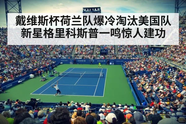 戴维斯杯荷兰队爆冷淘汰美国队新星格里科斯普一鸣惊人建功