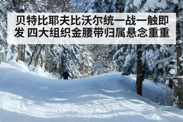 贝特比耶夫比沃尔统一战一触即发 四大组织金腰带归属悬念重重